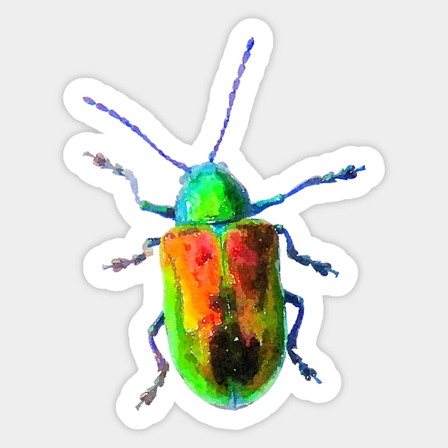 Dogbane Leaf Beetle Green Orange Colorful Bug Sticker by Griffelkinn